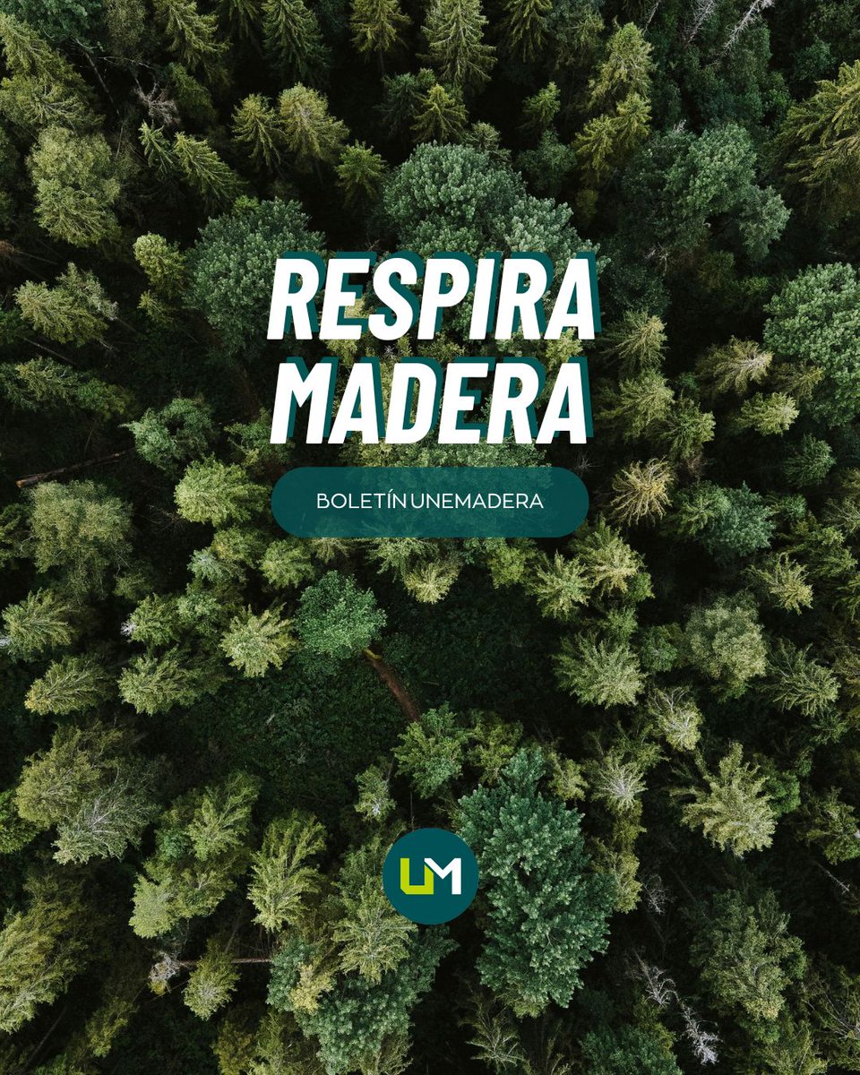 unemadera's tweet image. 📢 🌿 Respira madera
📩 Suscríbete y mantente al día con las últimas novedades del sector, tendencias en diseño y construcción sostenible, entrevistas exclusivas y consejos de expertos. Todo en un solo clic.
🔗 Únete aquí ➡ buff.ly/fqAekct
#UNEmadera #Newsletter