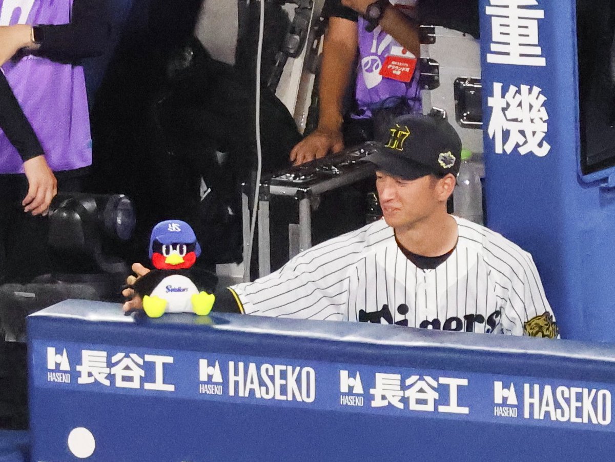 __o01843's tweet image. 近本さん優しい目でつば九郎見つめてました☺️
 #近本光司  #阪神タイガース