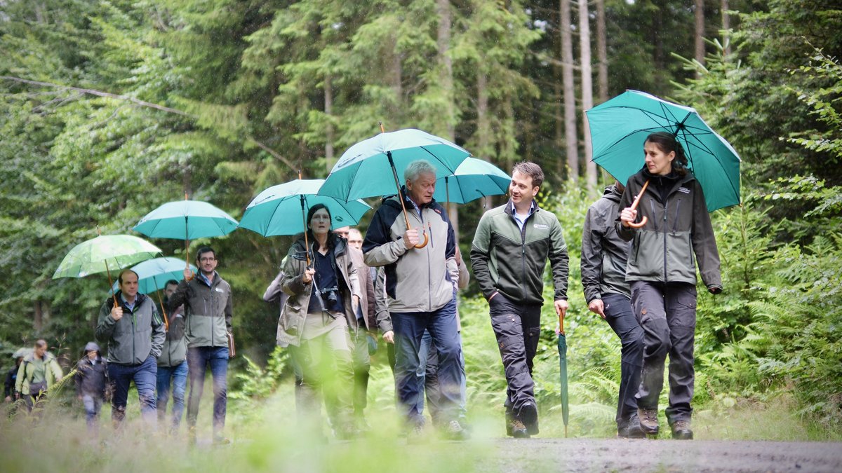 BMLEH_Bund's tweet image. Raus aus dem Büro, rein ins Grüne! 🌳 Alois Rainer diskutiert mit Waldbesitzern zentrale Themen der #Waldpolitik:
➡️ Entwaldungsfreie Produkte (EUDR)
➡️ Forstliche Förderung
➡️ Wiederherstellung der Natur
Unser Ziel: klimastabile & leistungsfähige Wälder.