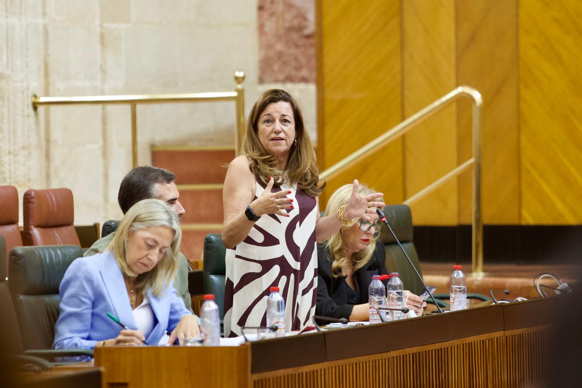Mª Carmen Castillo Mena tweet media