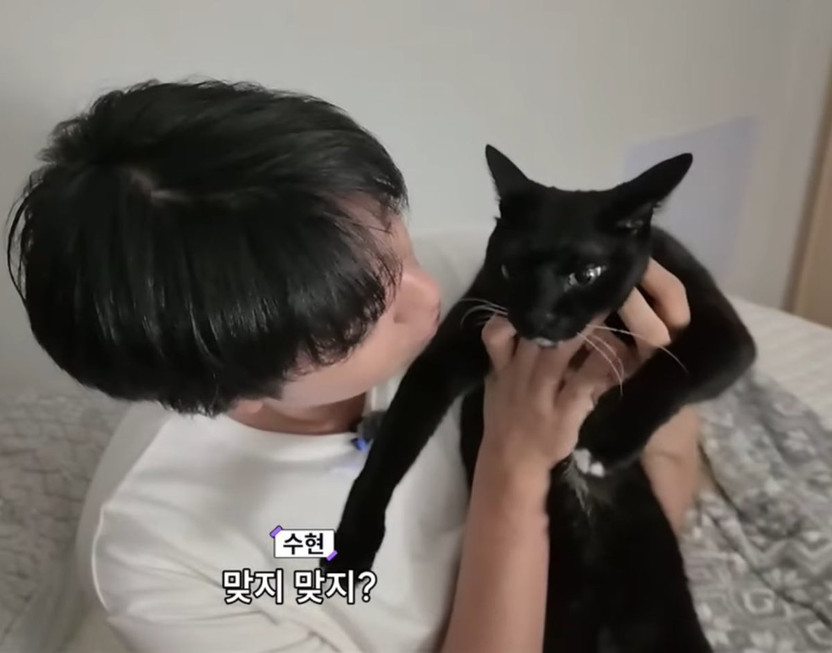 zzaaaang_'s tweet image. 이 사랑스러운 생명체들아………♡