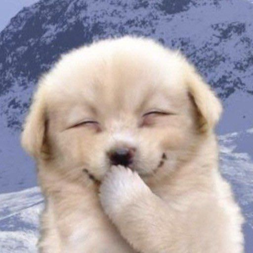 ً (@kmbrtz) on Twitter photo 