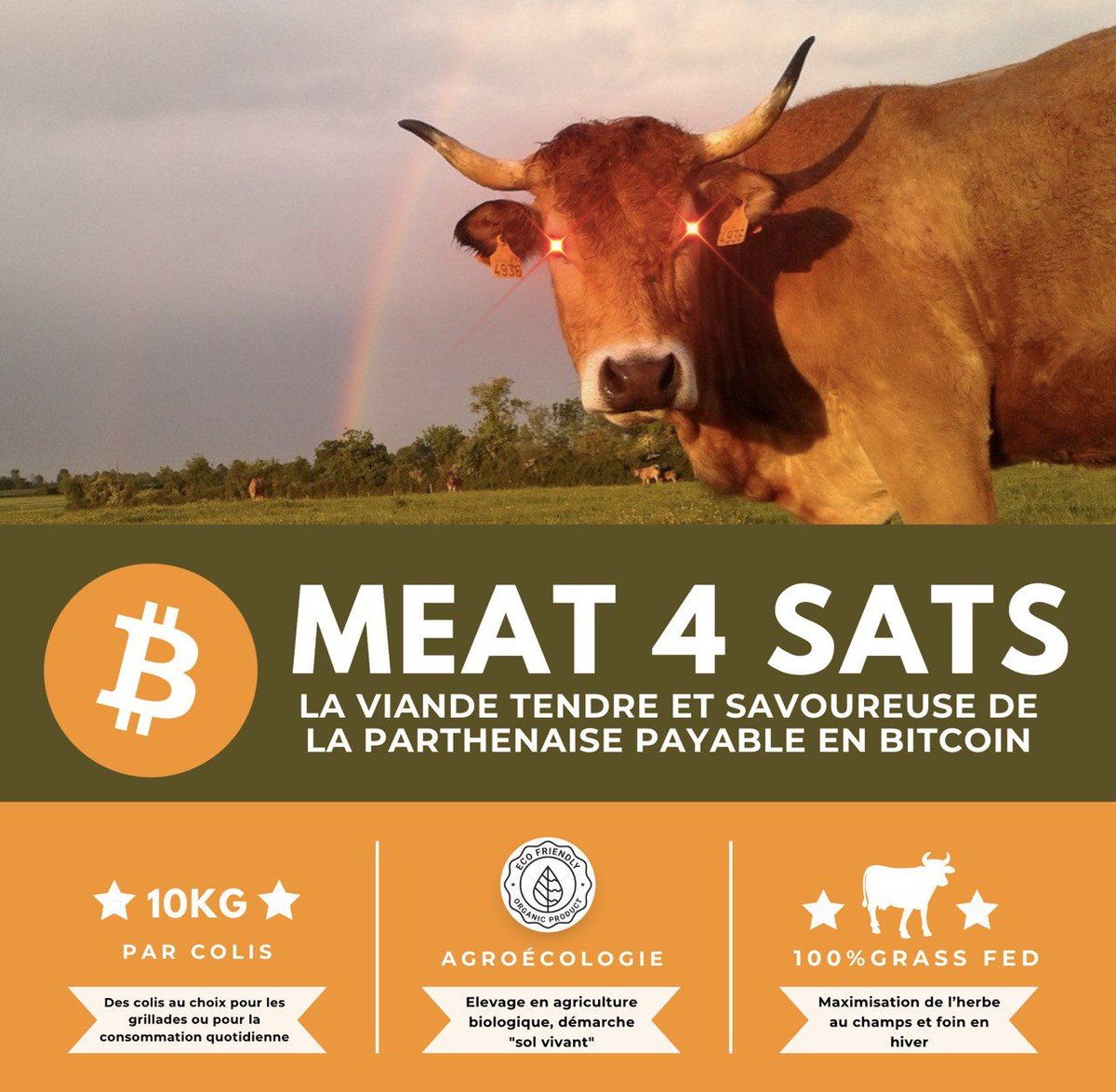 Bonjour ! 🙋
📢  Les commandes pour la prochaine vente de colis de viande bovine sont ouvertes 🌱 🐂 
Pour commander, comme d'habitude sur
➡️  lafermedesvertesprairies.fr ⬅️ 
Elle aura lieu le ⬇️ 
🗓️  Jeudi 11 septembre 2025
Livraison France + paiement #Bitcoin ok✅ 
A bientôt !