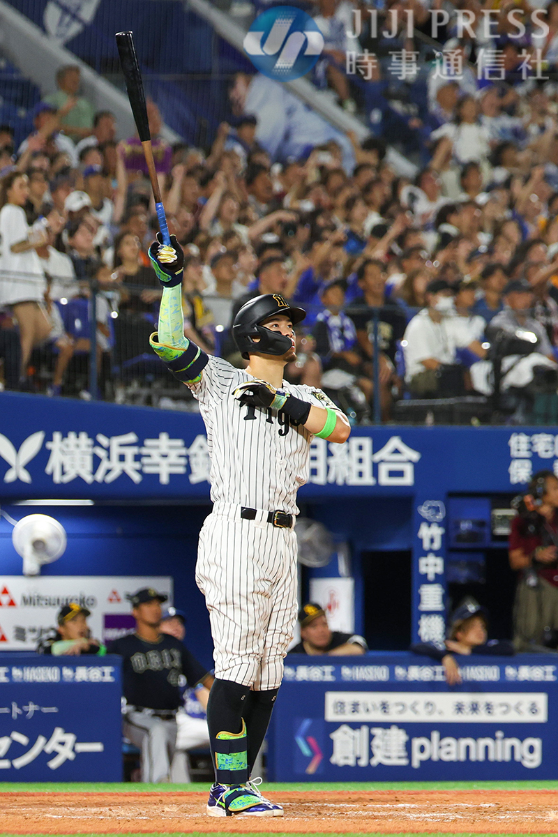 プロ野球オールスター第2戦の5回、全セの佐藤選手がソロ本塁打を放ち