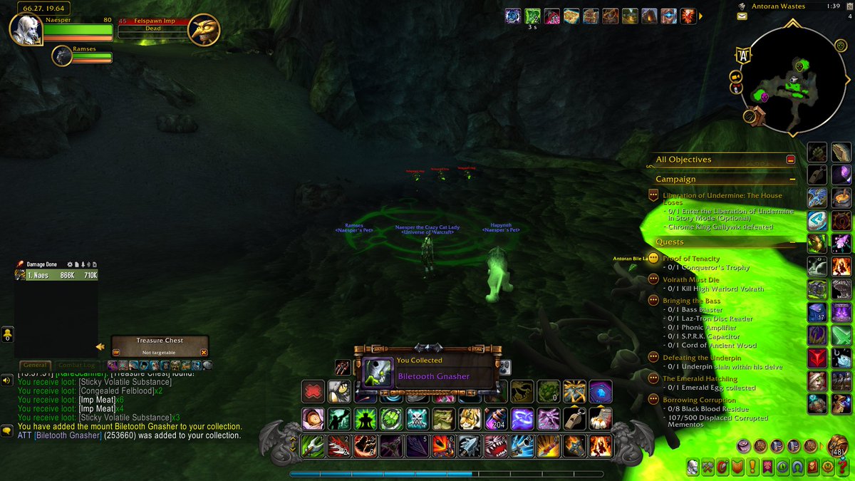 Neasper's tweet image. Killed the rare but didn't know the mount dropped, anyway the mount drop increase is really great