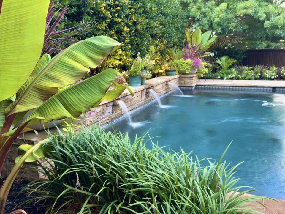 _Terry_Roden's tweet image. Good morning from the casa!
