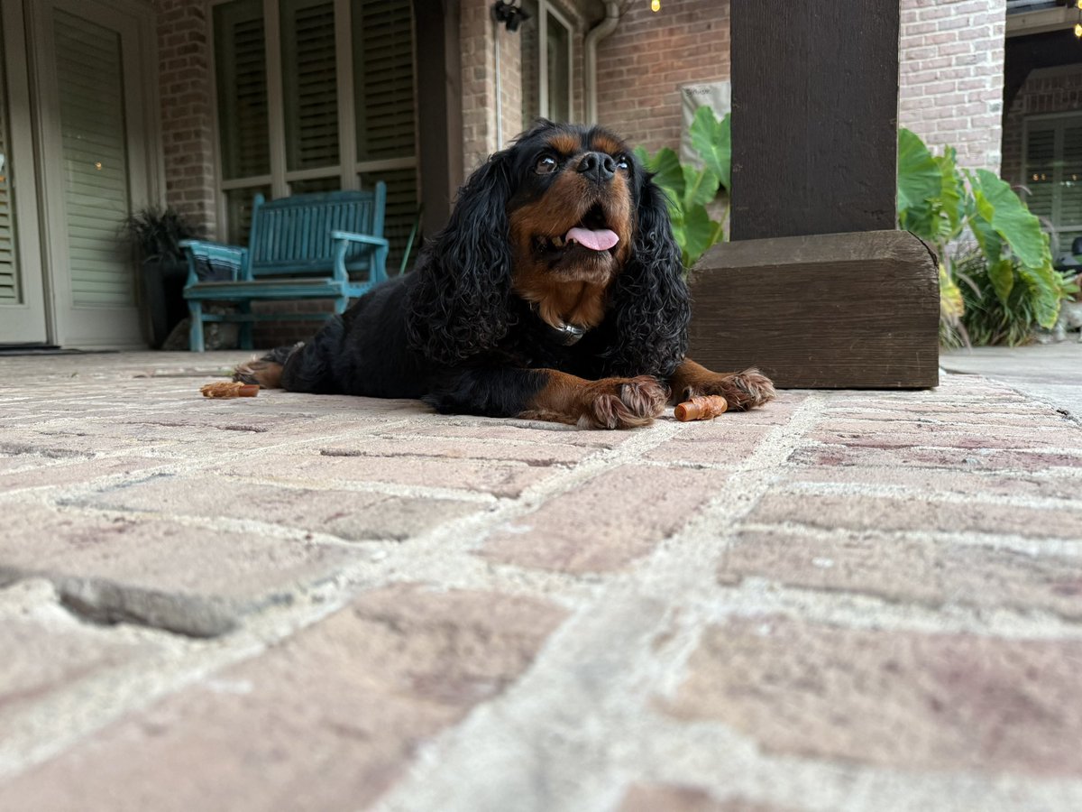 _Terry_Roden's tweet image. Good morning from the casa!