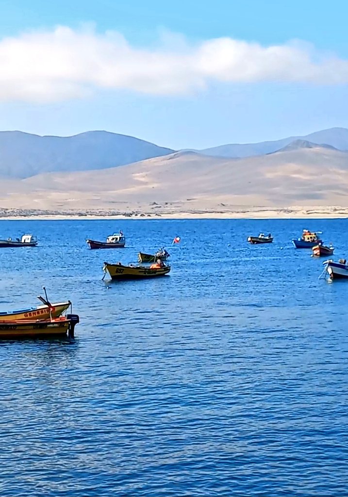 PatyAlvarezO's tweet image. "Ser pacientes no es quedarnos quietos, es confiar sin rendirnos.
Es dar pasos con fe, aunque el camino aún no esté claro. Porque mientras la vida se acomoda… también se mueve contigo."
#BuenosDiasATodos 🙌☕️🌻
Que tengas un bonito y bendecido dia 💛🌻💞🎶✨️
#FelizJueves 🍀