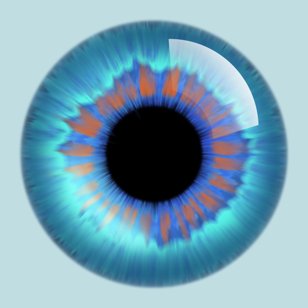 cota_ffxiv's tweet image. Learning to draw things day "I can't remember because I procrastinated" anyway, have irises I did with Tutorials