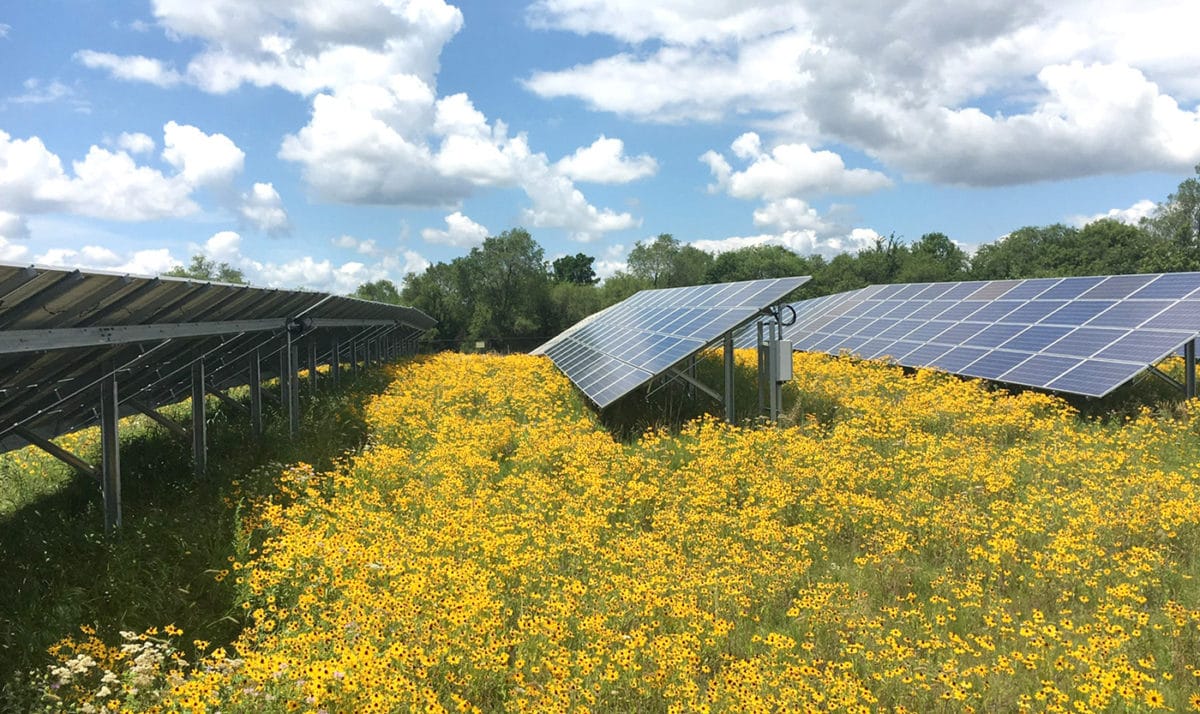 RenewableSearch's tweet photo. Via PV Mag: " Investments in community solar continue despite federal headwinds: A $275 million tax equity investment will go toward between 25 and 30 community solar projects across five states.
Nautilus Solar… https://t.co/sK4YOSKBj1 " #EnergyStrorage #BatteryStorage #Energy https://t.co/59fBlGXDRs