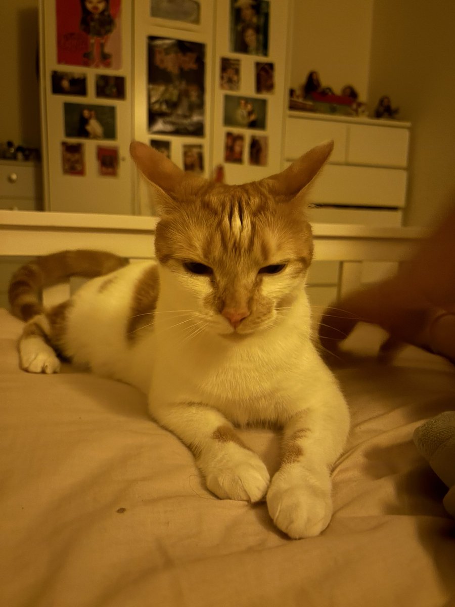 binkywinkywoo's tweet image. wot if i smack yuo. wot then