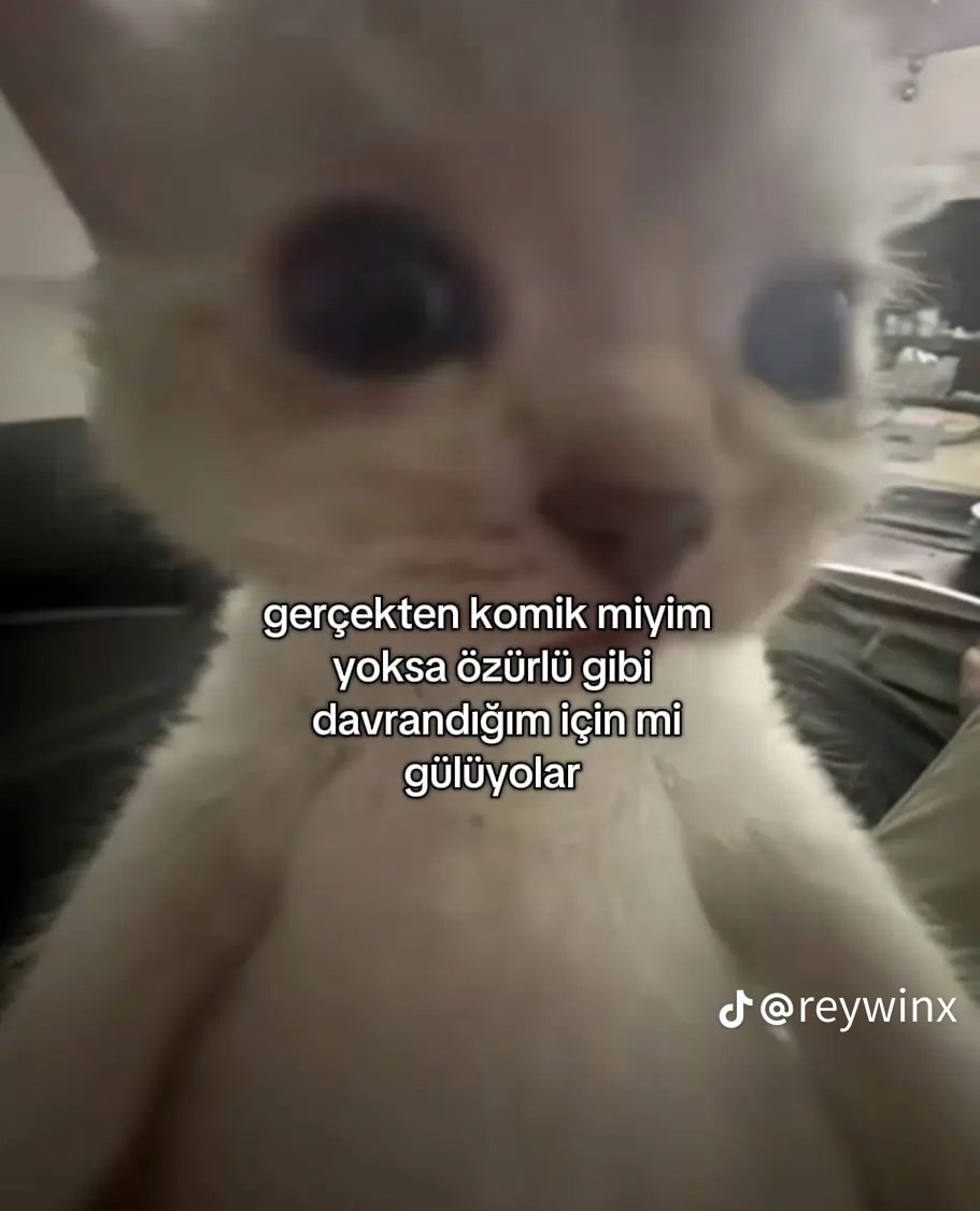 ︎Mutsuz (@100de100mutsuz) on Twitter photo 