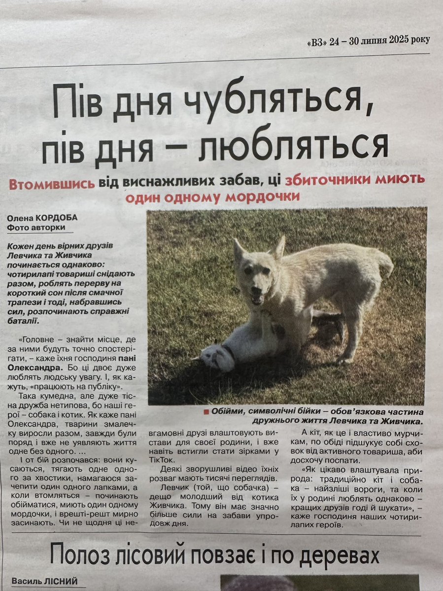 martaturetska's tweet image. Дякую газеті Високий Замок за чудову колонку про дружнє життя Левчика та Живчика