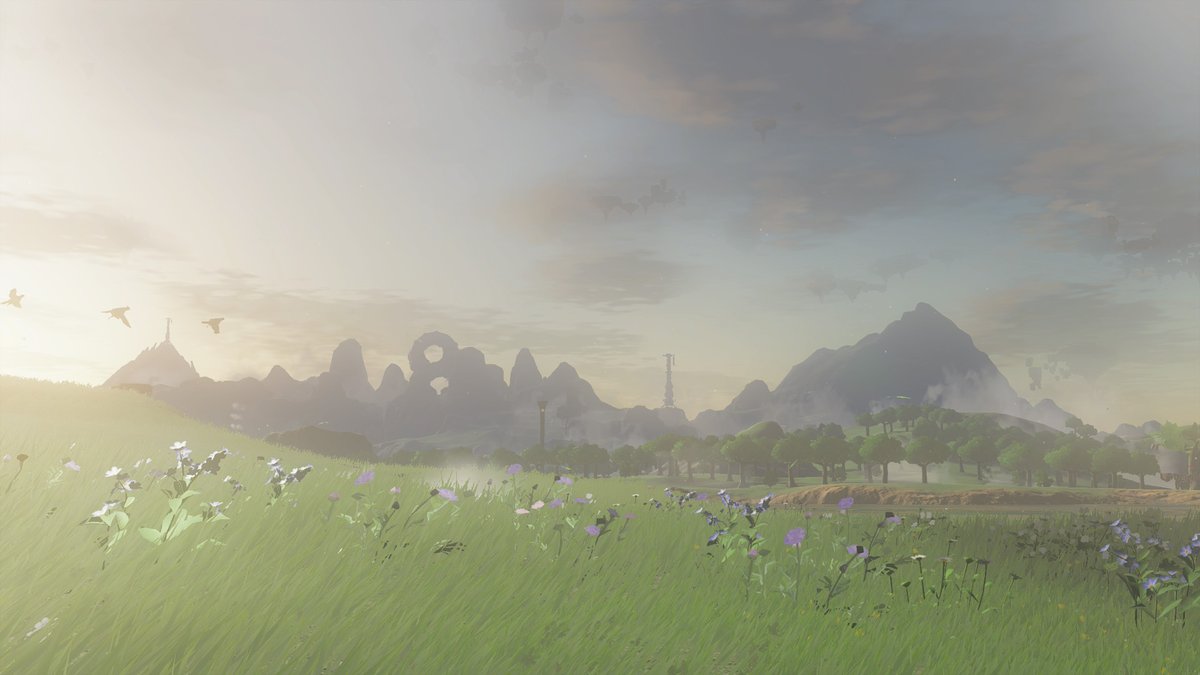 PlayMyMain's tweet image. Just beat totk ok the switch 2 for the first time. What a beautiful game ❤️