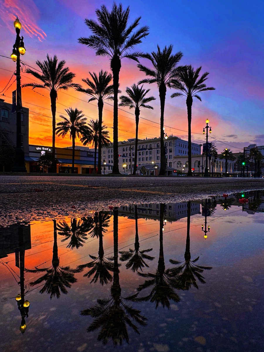 DavidMora's tweet image. Beautiful summer sky candy on Canal Street this morning! 🍭🍬 #lawx #nola