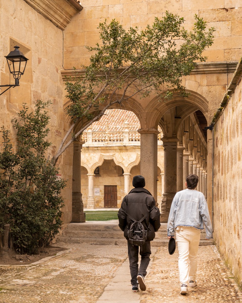 usal's tweet image. 🎓✨ La USAL matricula a más de 5.600 estudiantes de nuevo ingreso
📅 Mañana arranca el tramo final del proceso de matrícula para el curso 2025/26, con un aumento notable de estudiantes.
Además las cifras también son positivas en los programas de máster, que se acercan a los…