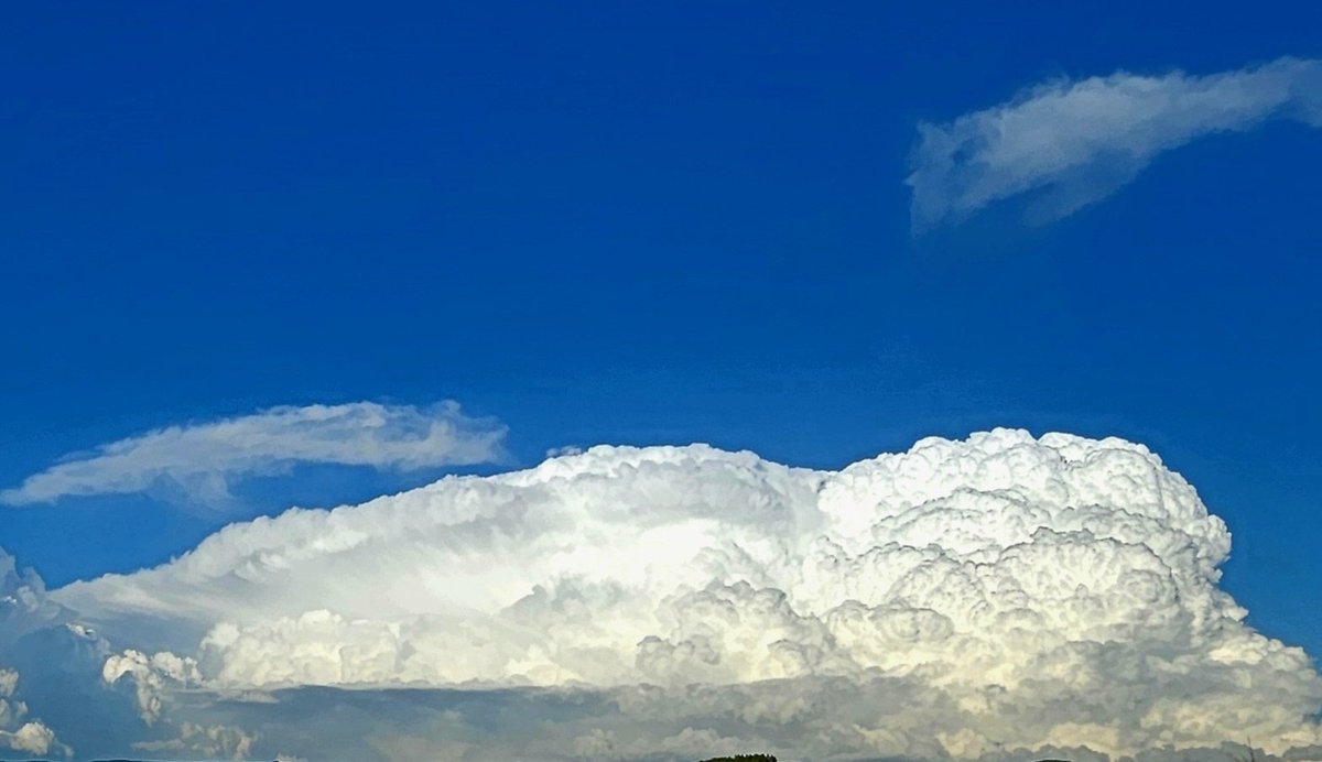 Их үүл хараад ямар их үүл вэ яасан их үүл вэ гэж гайхаж харсаар байтал нэг бөөн нь монгол авдар дээрх асар мэт, арслан мэт боллоо.