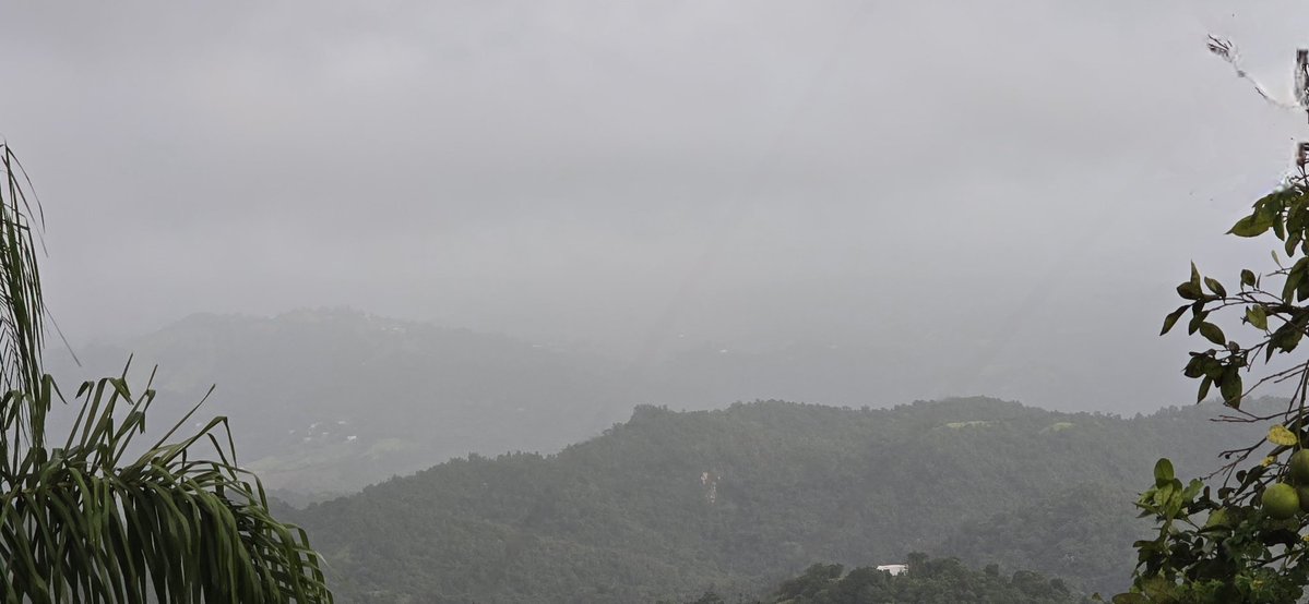 NormaOrtizRodr4's tweet image. Mucha bruma en las montaΓ±as de Cidra. Bendecido dia ππ»βοΈβοΈππ»π @adamonzon @DeborahTiempo @SLopezTiempo @EliRobainaTV @Carlostoletv @carlosomartv @rcortestv2 @zamiratv @CycloforumsPR @SusanSoltero @KevinDelbrey @hectorroldantv @TWAPuertoRico @Zona_del_tiempo