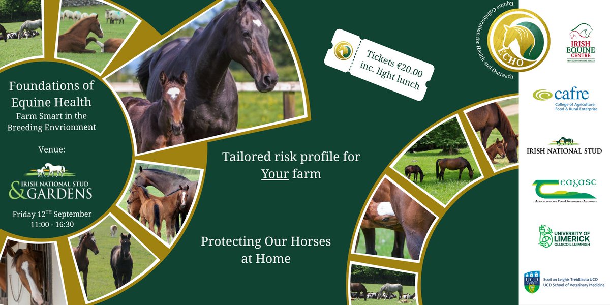 IrishNatStud's tweet image. Introducing ECHO, Equine Collaboration for Health and Outreach.
The inaugural event takes place on September 12th at the Irish National Stud. Full details linked.
irishnationalstud.ie/introducing-ec…