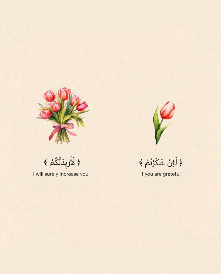 1l1il7's tweet image. 