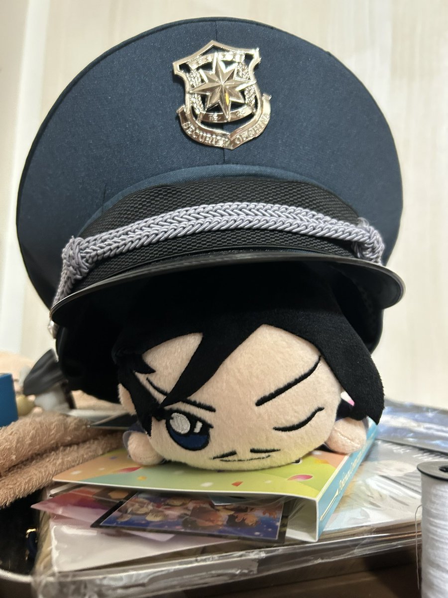 tixyanmarukoo's tweet image. 衣装届いた、帽子も入ってたかわちい