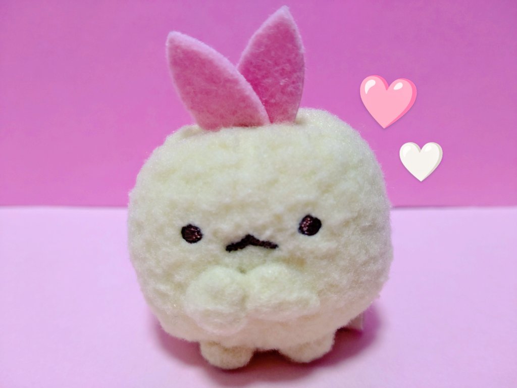 えびてんのしっぽちゃん🩷🤍
♡ｶｶｶｶ((*ﾟДﾟ*))ｶﾜﾕｽ
#すみっコぐらし #えびてんのしっぽ