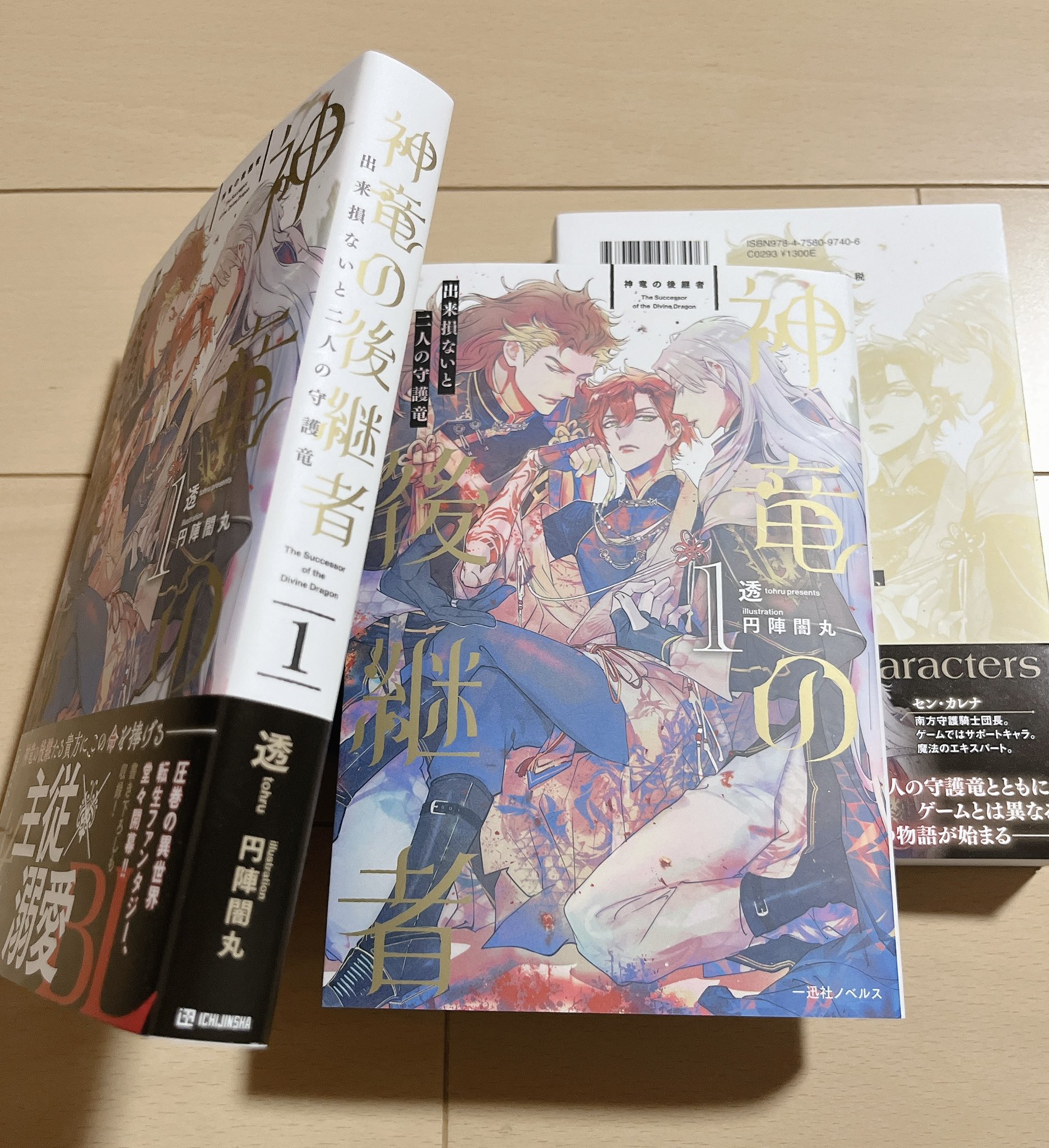 レコード　まとめ売り 昔の漫画 6 過去絵ロックマンZXのまんが （6） | あおいひと