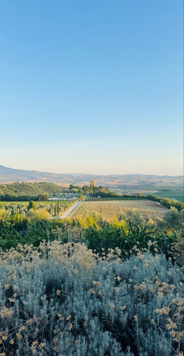 If you find your way to Tuscany, don’t miss a wine tasting and tour at the most spectacular villa, view and vineyards we have ever seen at Argiano argiano.net/en/the-estate/. The  pictures do not do it justice. 

As importantly, the wines are superb. 

There is also a beautiful bed