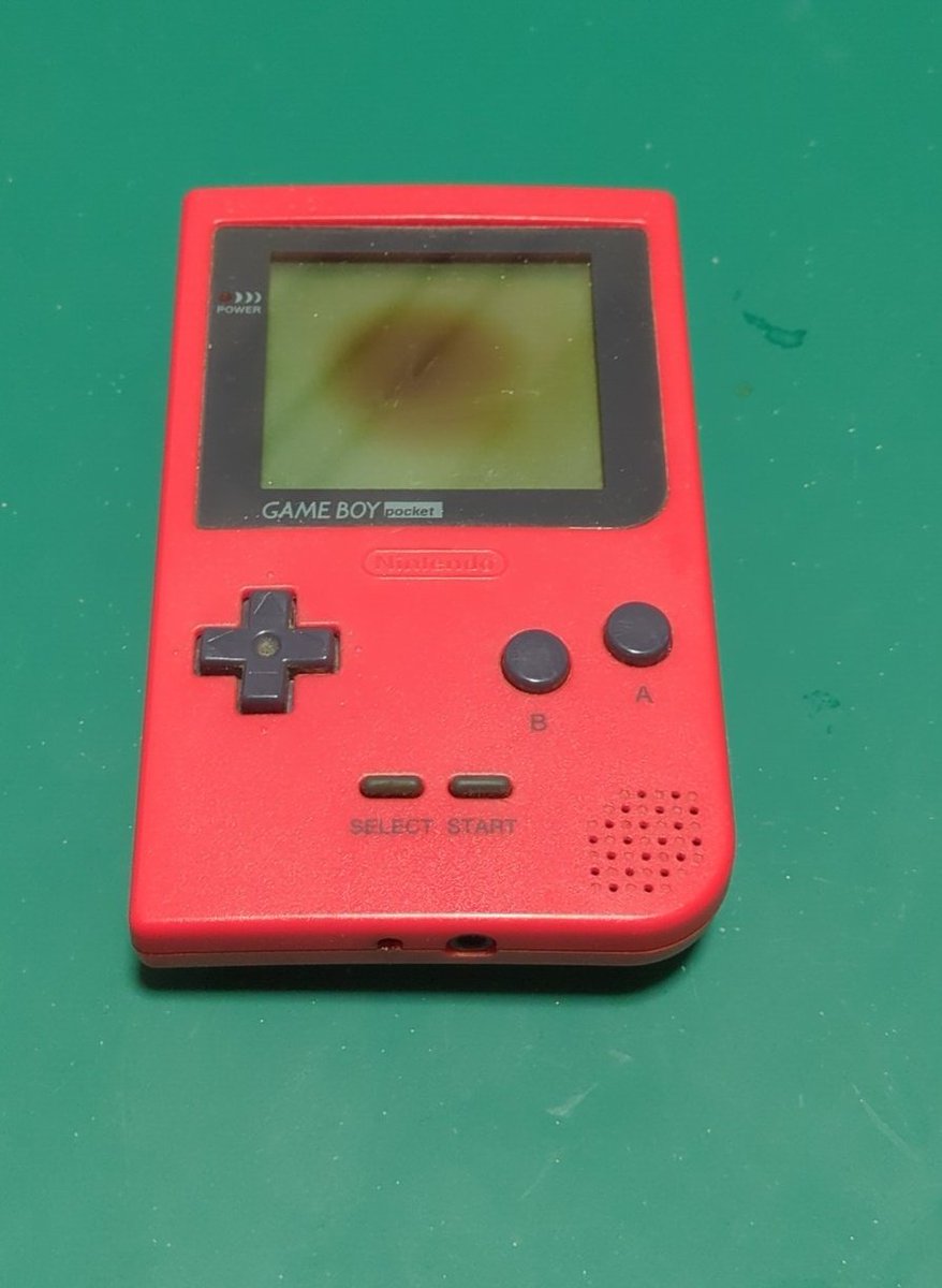 #にわとり借り物競争
ポケットだけど