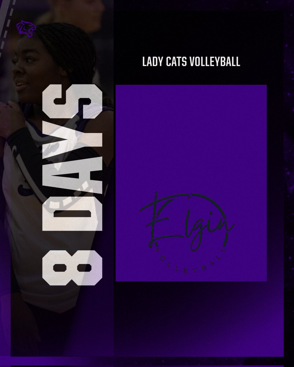 Elgin Wildcat Volleyball (@elginvball) on Twitter photo 🏐 8 Days Out
8 days away = 8 reasons to stay locked in:
 Team. Family. Grit. Pride. Sweat. Heart. Focus. Fire. 
 #8DaysOut #OneTeamOneDream #EHSVolleyball 🏐 8 Days Out
8 days away = 8 reasons to stay locked in:
 Team. Family. Grit. Pride. Sweat. Heart. Focus. Fire. 
 #8DaysOut #OneTeamOneDream #EHSVolleyball