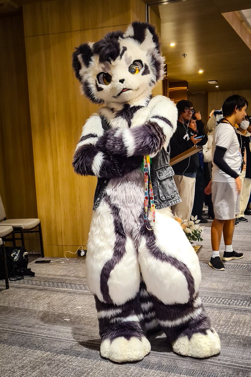 Slibiniukas's tweet image. 📸: @Slibiniukas 
#银碳 #银碳Gintan #Gintan #furry #fursuit #福瑞