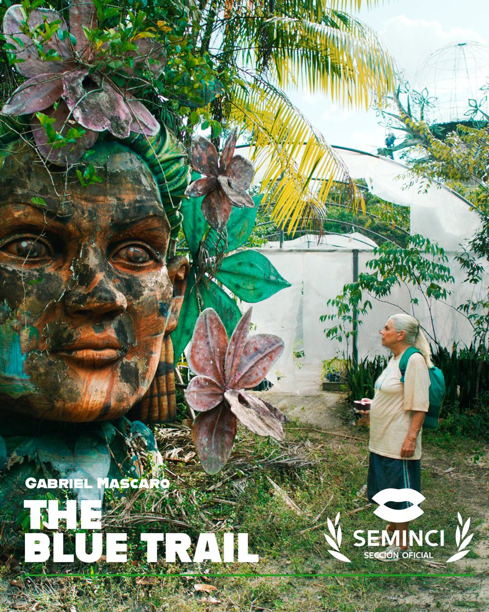 karmafilms's tweet image. #TheBlueTrail llega a la Sección Oficial de la 70ª edición de @Seminci_oficial . 🌿✨
Una historia de coraje y transformación: Teresa, a sus 77 años, se niega a vivir en una colonia habitacional impuesta y decide emprender un viaje único por el Amazonas. Un destino inesperado…
