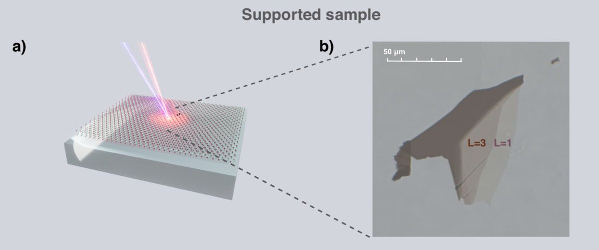 The study of AG Malic and Klaas-Jan Tielrooij (Eindhoven) shows the role of traps &amp; dielectric environment in electron transport in MoSe2, oﬀering valuable insights for the development of electronic applications. This is published in Nature Communications nature.com/articles/s4146…