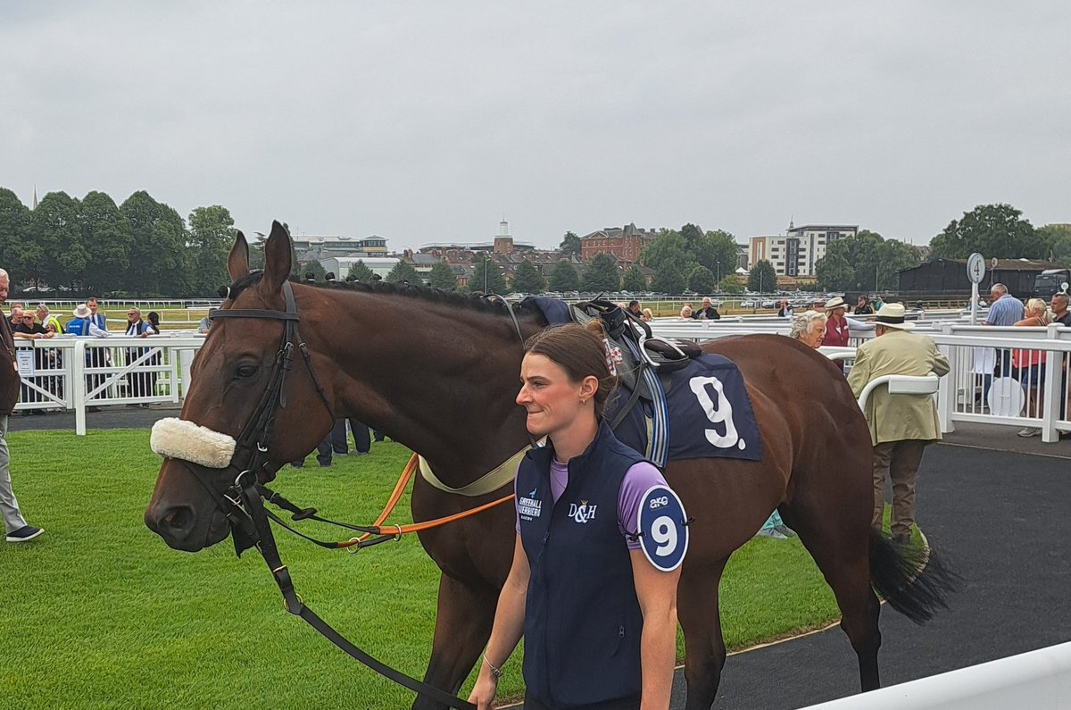 sportingrelic's tweet image. Dexter parading @worcesterraces for @G_G_Racing today