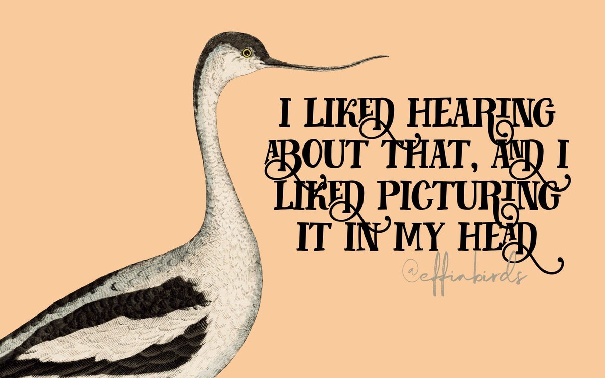 Effin' Birds (@effinbirds) on Twitter photo 