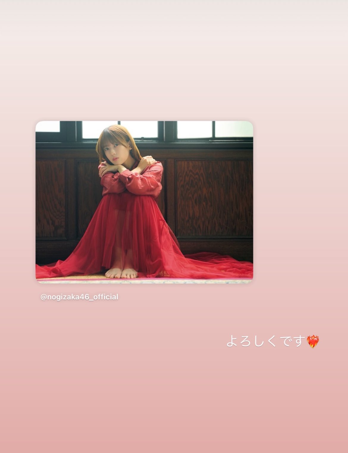 ꕤ︎︎ラストセール9月末までꕤ︎︎6980→さらにフォロワー様割引きと致します♬*° nabejuni (@nabejuni) / X