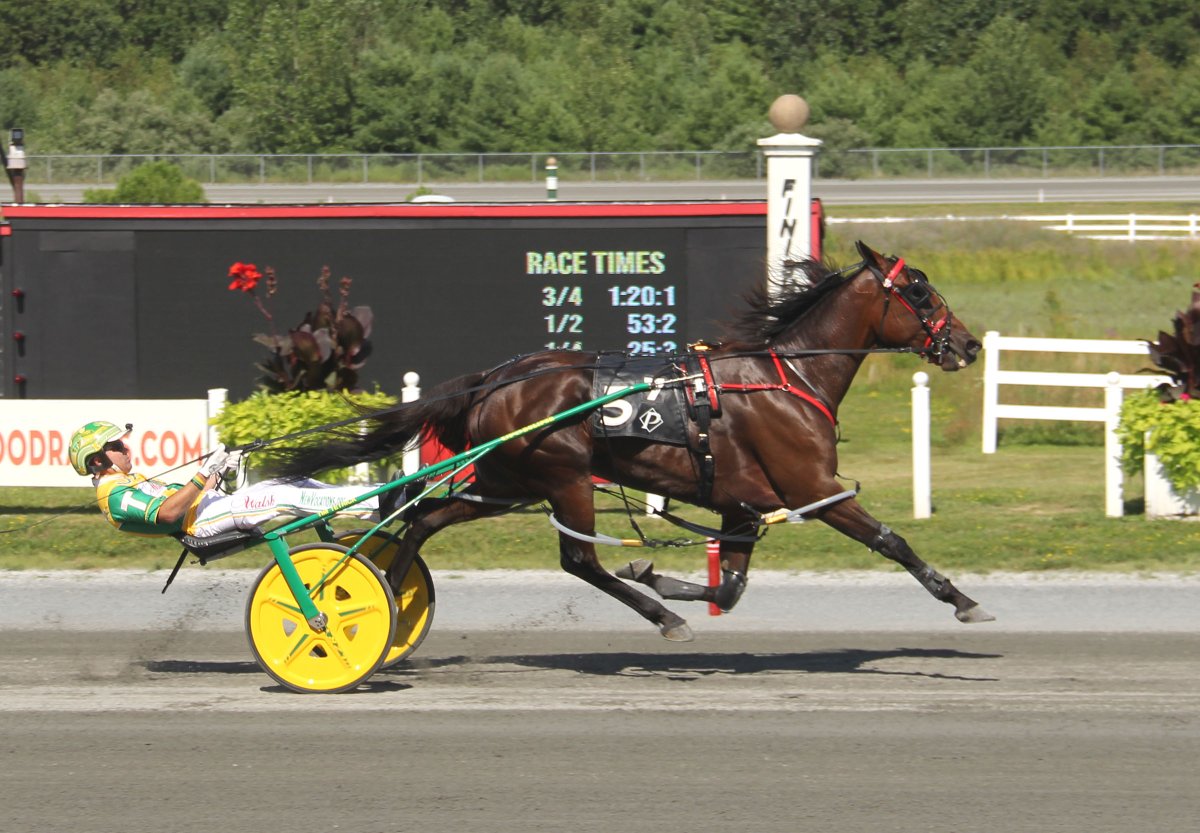 USTrotting's tweet image. Sylvia Hanover back into Top 10 in Hambletonian Society/Breeders Crown poll
Hightstown, NJ – Coming off her world-record performance in the Clara Barton Distaff Pace at Plainridge Park, Sylvia Hanover vaulted back into the Top 10 in the Week 6 edition of the Hambletonian…