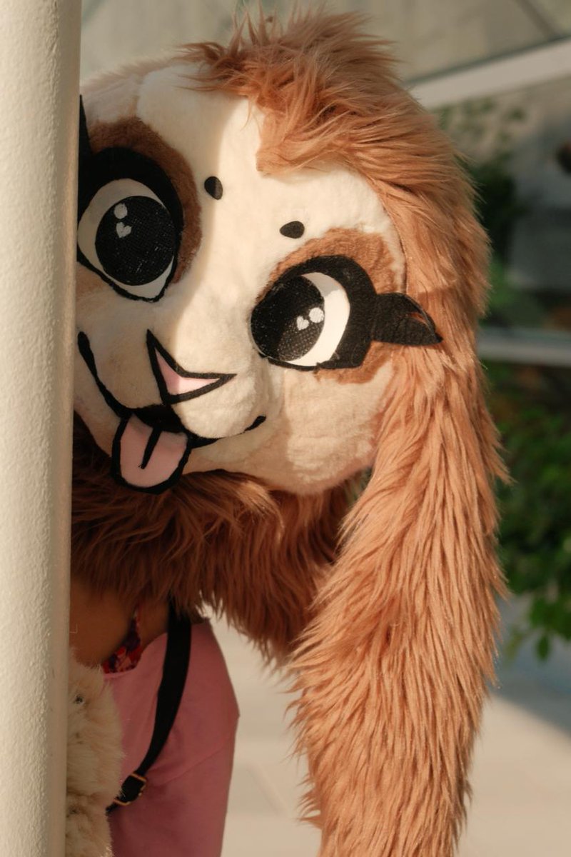 Ymmotehl's tweet image. Bunny behind post posting
Photo for: @KikiBunnie
#anthrocon2025 #anthrocon25