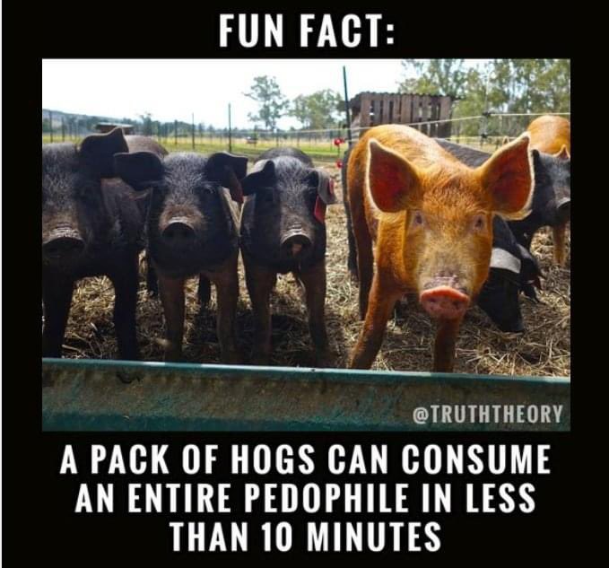 <a href="/thetrueshelby/">shelby</a> <a href="/SarahHuckabee/">Sarah Huckabee Sanders</a>