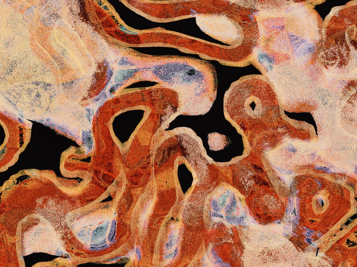 heft_gallery's tweet image. ‘mimizu Untitled #9’, 2023, by @qubibien , currently on view at the gallery.
Mimizu, or earthworms, have long been cultivated in Qubibi’s storeroom. Through nanoanalysis and generative methods, their dwellings and trails become a richly intricate visual language.