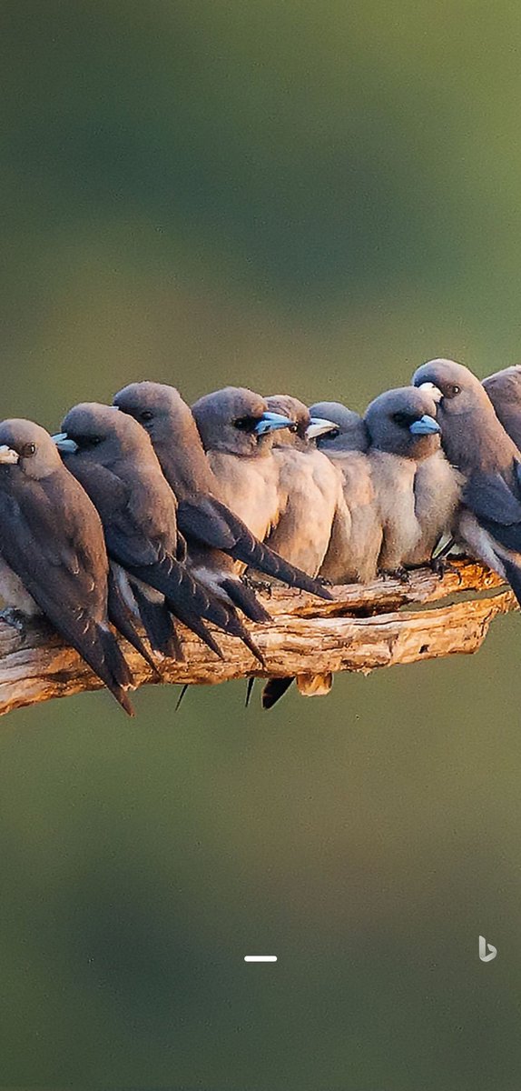 shewolfo2's tweet image. 😘