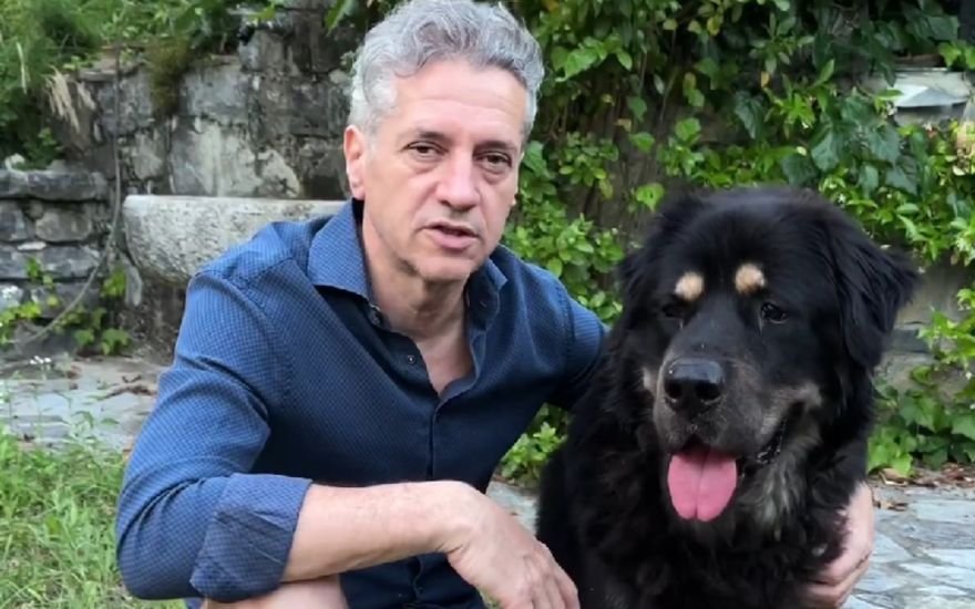 tolemamo's tweet image. Kdo ve, kaj se je zgodilo s kužijem od predsednika vlade?
Preveč počitnic v Karigadorju pa je letel čez ramo? #NoDogsAllowed