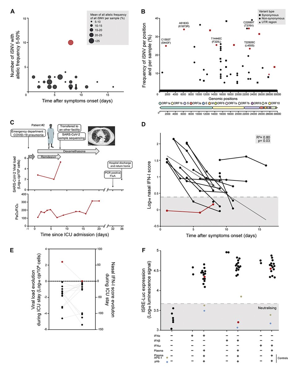 Journal of Human Immunity (@jhumimmunity) on Twitter photo David Bussy, Sophie Trouillet-Assant and colleagues <a href="/UnivLyon1/">Université Lyon 1</a> @inserm present a case of increased within-host viral diversity linked to impaired type I interferon response during #COVID19: hubs.la/Q03yMT8r0 
#Infections #AutoAntibodies #SARSCoV2 David Bussy, Sophie Trouillet-Assant and colleagues <a href="/UnivLyon1/">Université Lyon 1</a> @inserm present a case of increased within-host viral diversity linked to impaired type I interferon response during #COVID19: hubs.la/Q03yMT8r0 
#Infections #AutoAntibodies #SARSCoV2