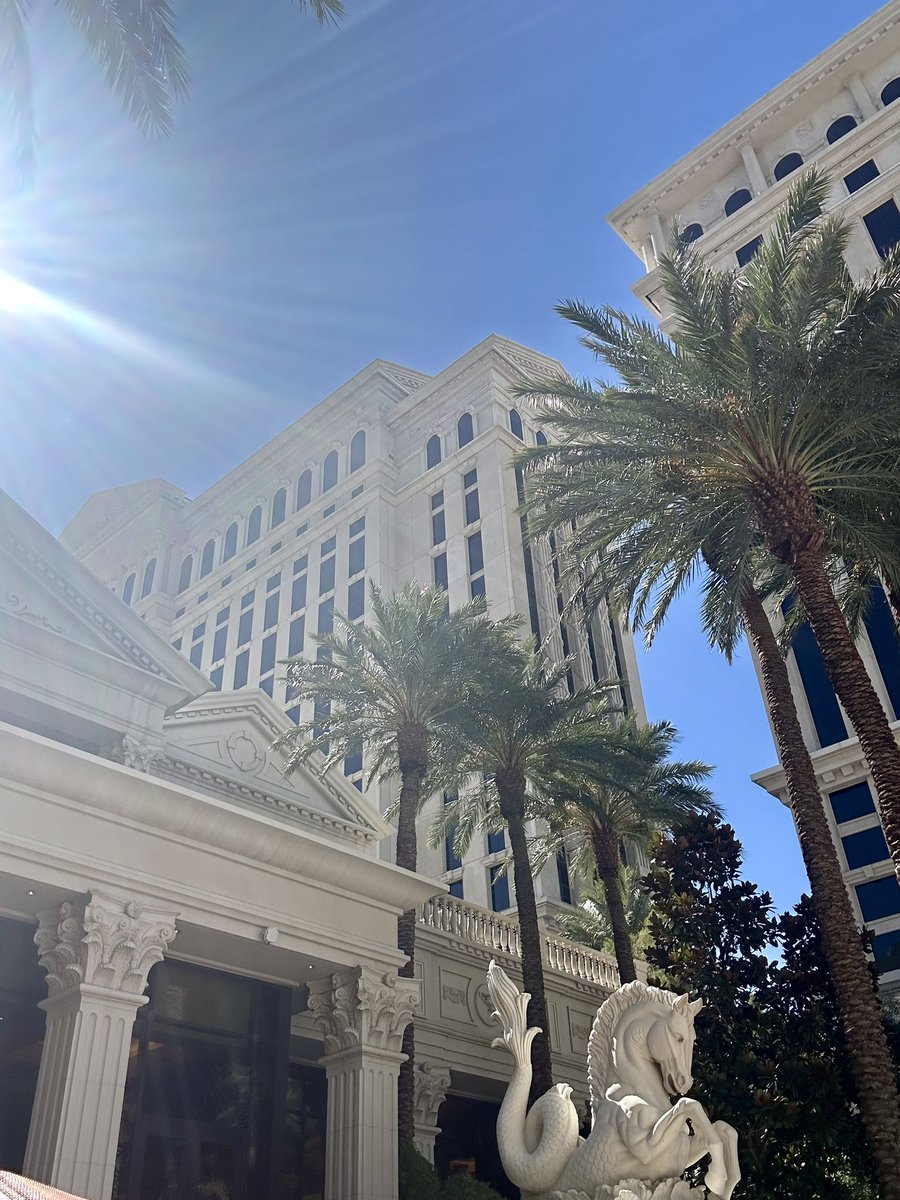 Quick trip to Vegas! #workperks <a href="/SharpHat/">SharpHat, Inc.</a>