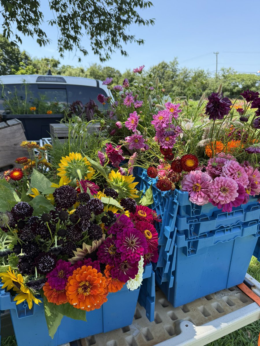 generousfarm's tweet image. The flower truck π»