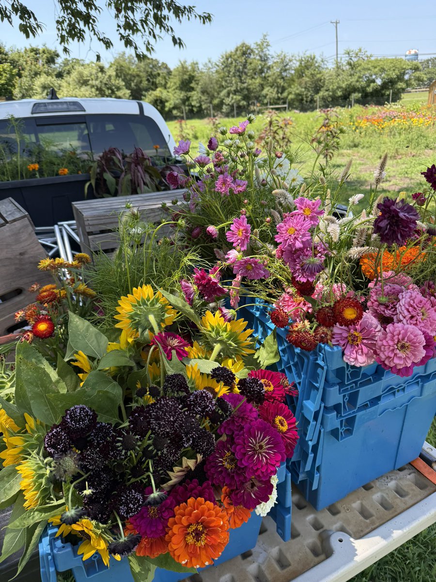 generousfarm's tweet image. The flower truck π»
