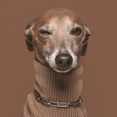 unanegradecba's tweet image. #NuevaFotoDePerfil