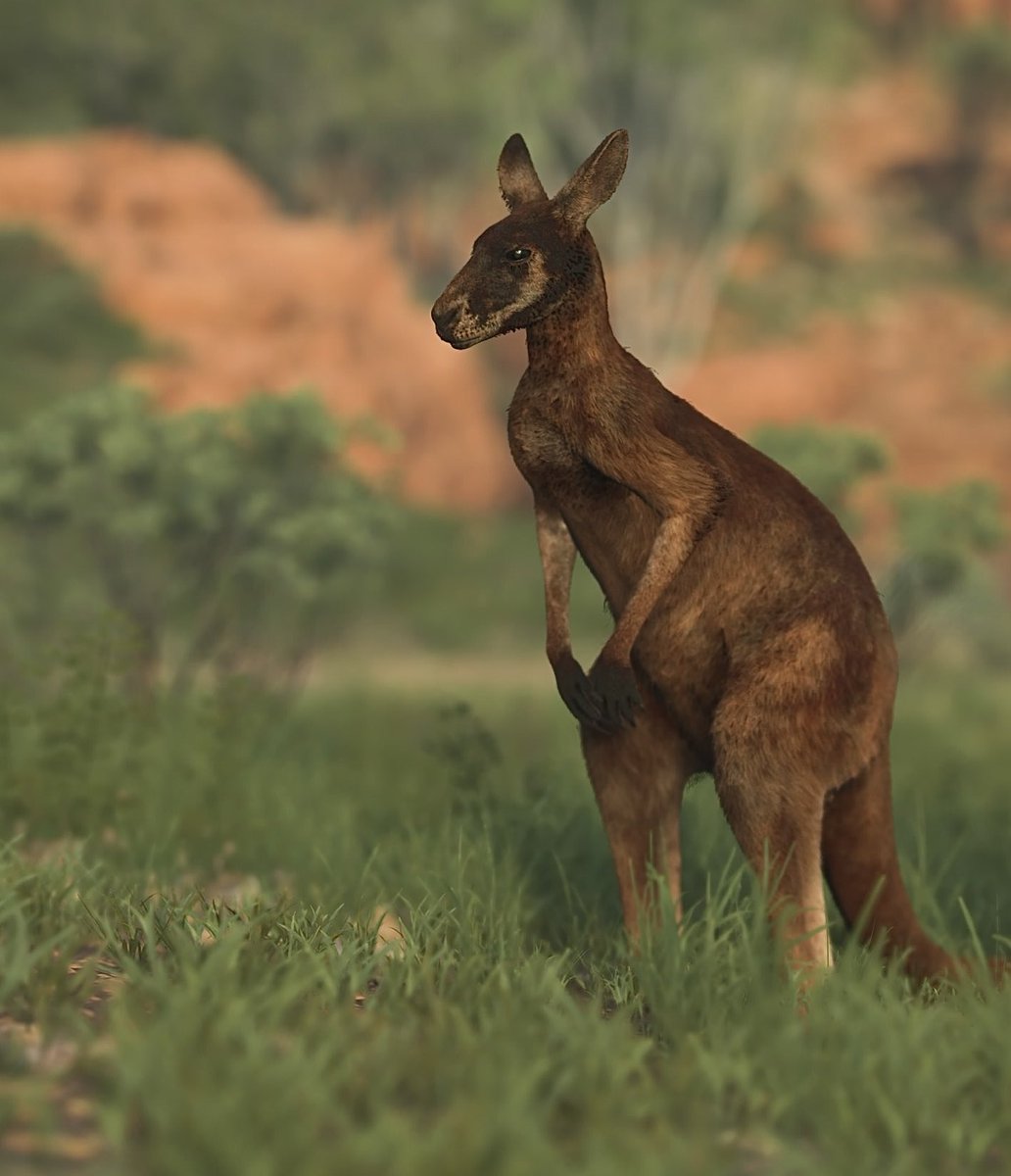call_me_xavii's tweet image. Another day in Australia 🦘#DeathStrading2 #DeathStrandingD2OnTheBeach #KojimaProductions