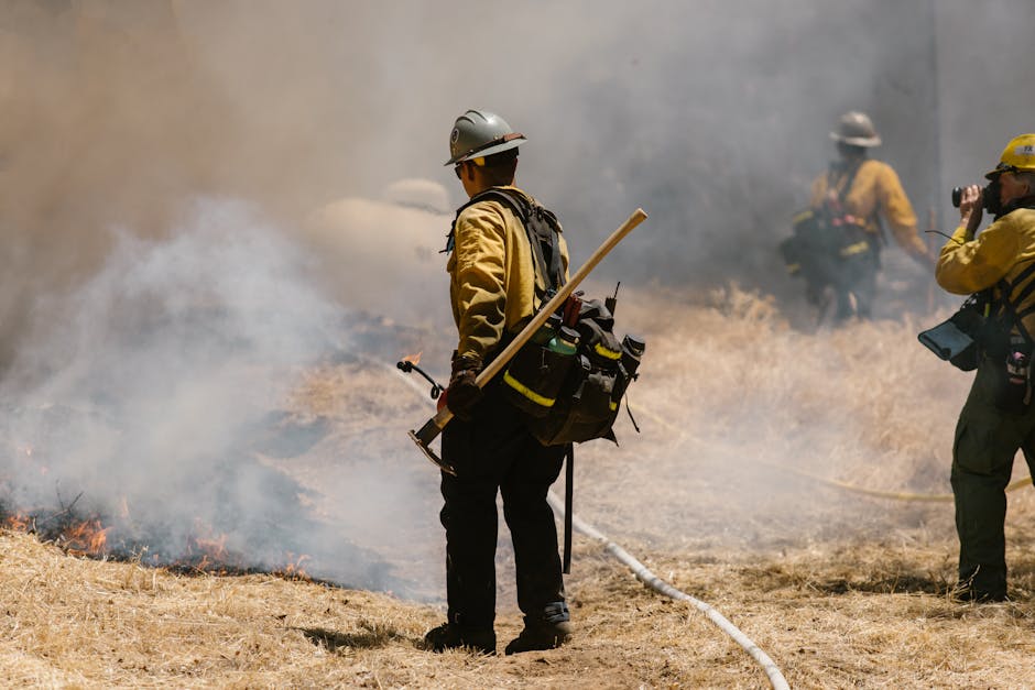 FSI Stanford (@fsistanford) on Twitter photo A new paper from <a href="/MarshallBBurke/">Marshall Burke</a> and <a href="/ivanhigueram/">Iván Higuera-Mendieta</a> shows that the benefits of prescribed burns, in terms of reduced smoke from prevented severe fires, substantially outweigh the costs of the smoke produced in the initial treatment fires.
🔥 READ HERE: ow.ly/BZ0S50WulcM A new paper from <a href="/MarshallBBurke/">Marshall Burke</a> and <a href="/ivanhigueram/">Iván Higuera-Mendieta</a> shows that the benefits of prescribed burns, in terms of reduced smoke from prevented severe fires, substantially outweigh the costs of the smoke produced in the initial treatment fires.
🔥 READ HERE: ow.ly/BZ0S50WulcM