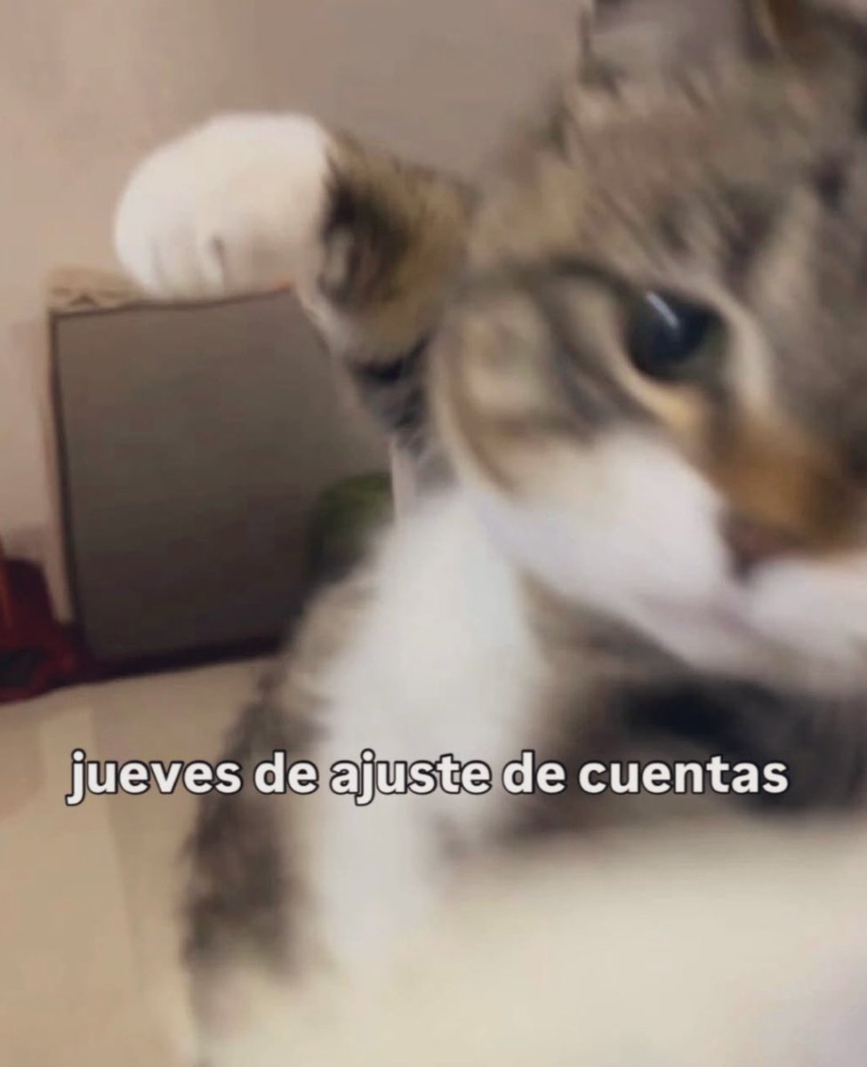 Ornelatm's tweet image. Otra vez llegando tarde al # pero los escuché atenta as usually. #LosAmoMil les mando besos en sus naricitas
@eltalcha @ruleiro #Airto
Ando en mudanza y escucho los recalentados en lo que se hace el embalaje, que bonito es escucharlos en la tarde también!💋
 #PoderosoDiscoClub6